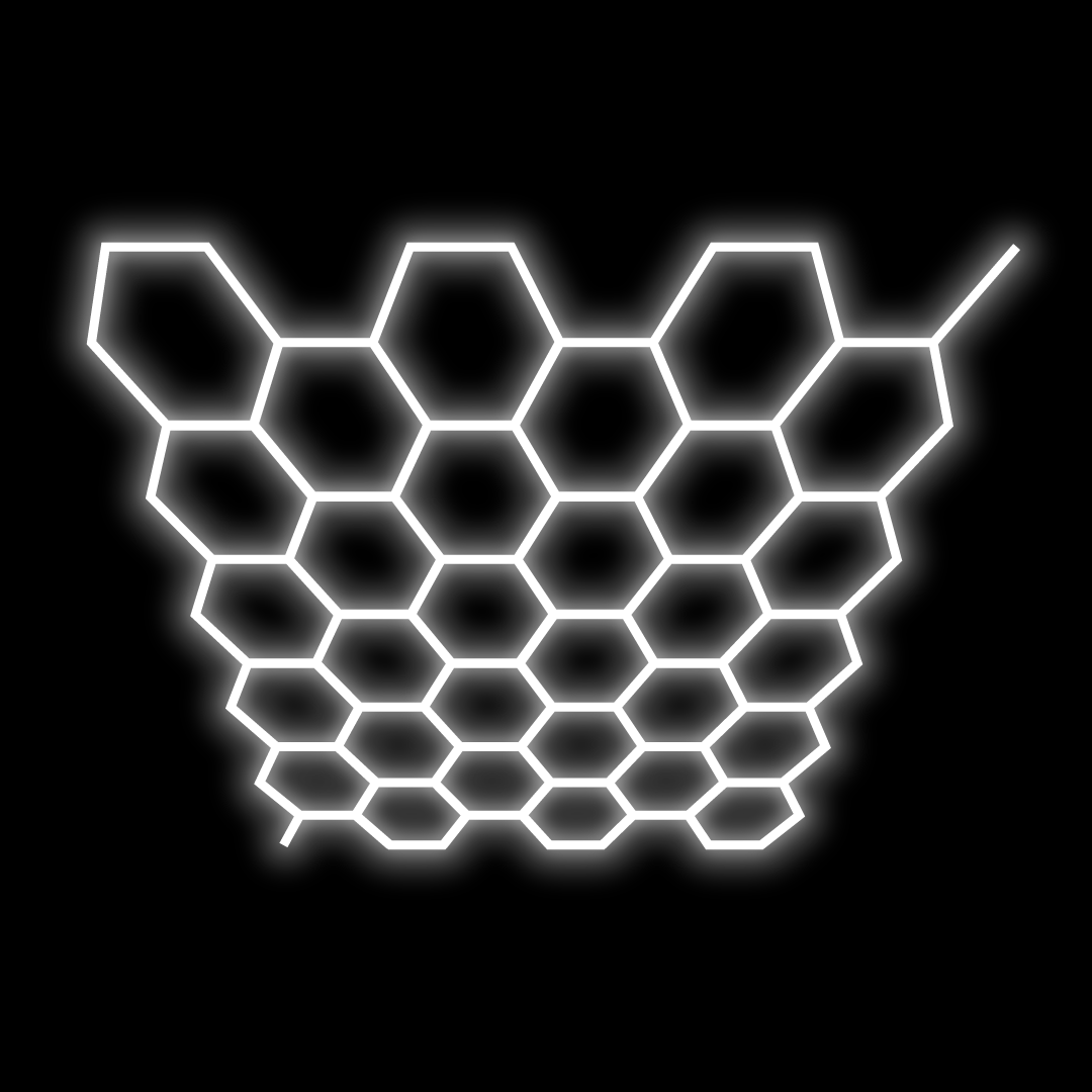 2 Car Garage Hexagon Lighting Kit